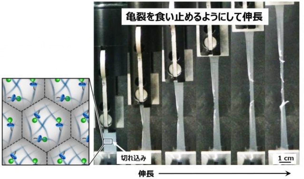 微粒子フィルムの切れ目からの引裂試験の様子