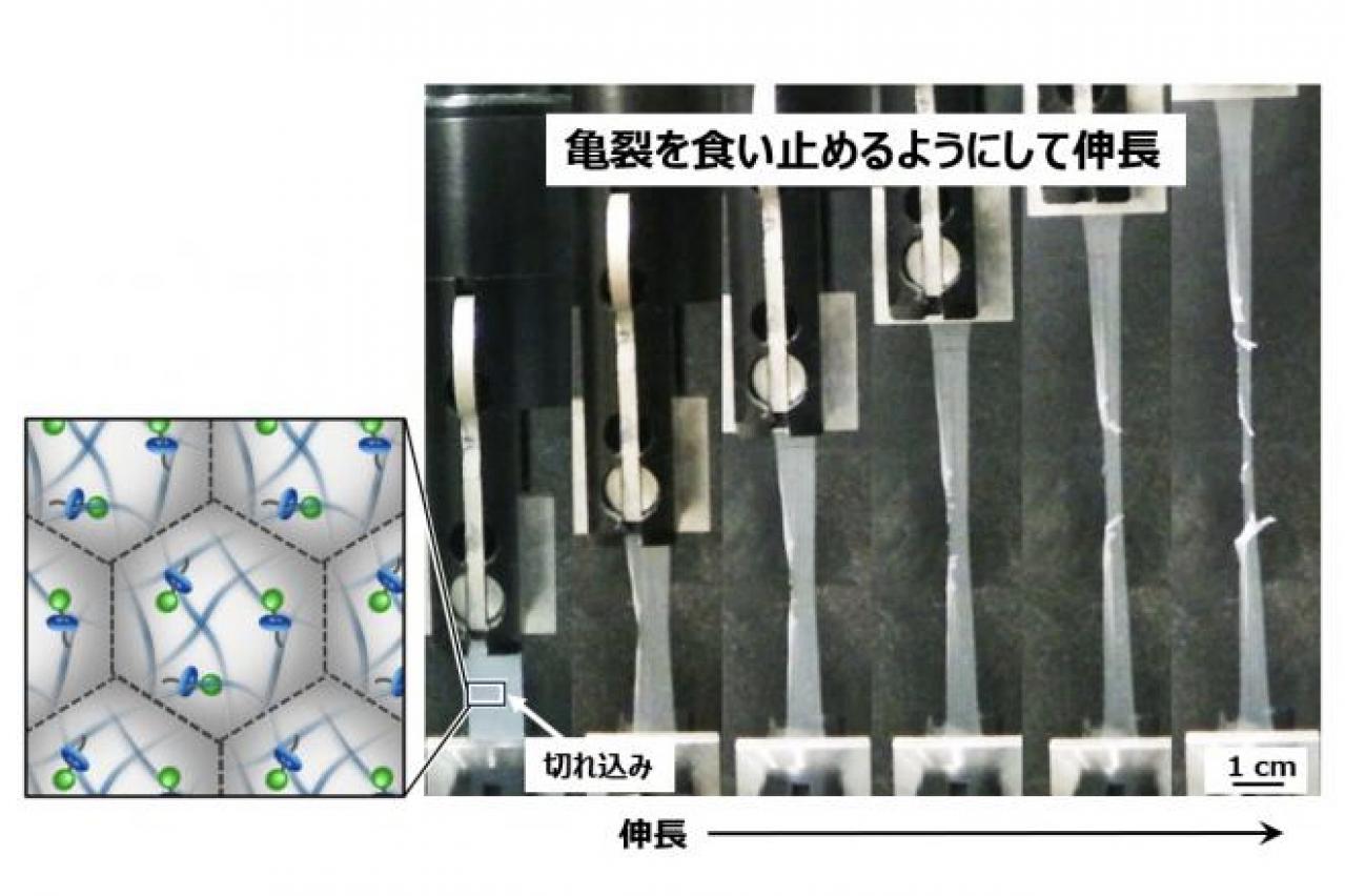 横浜ゴムと信州大学、高分子微粒子を活用した亀裂が進みにくいゴム材料を開発